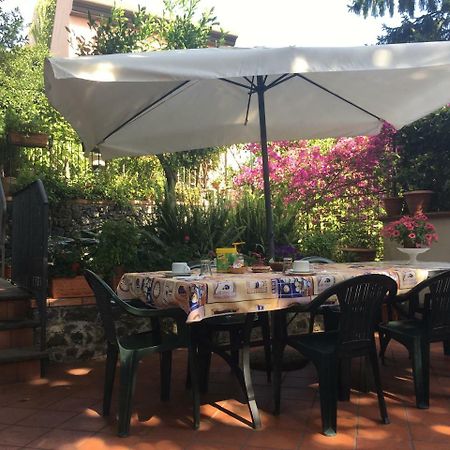Villa Rosa Etna Apartments Zafferana Etnea Exteriör bild