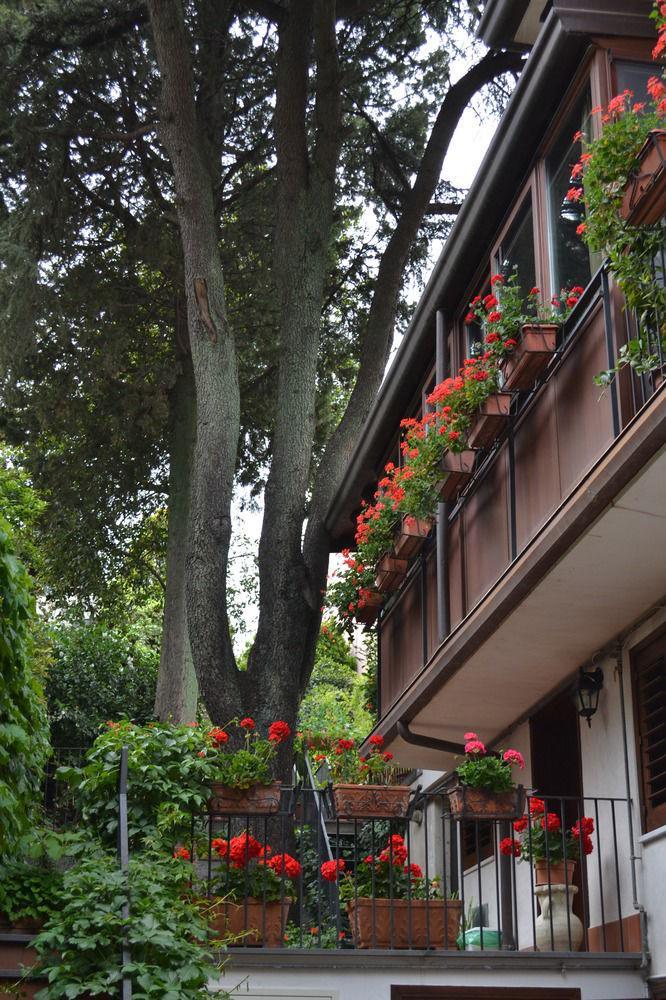 Villa Rosa Etna Apartments Zafferana Etnea Exteriör bild